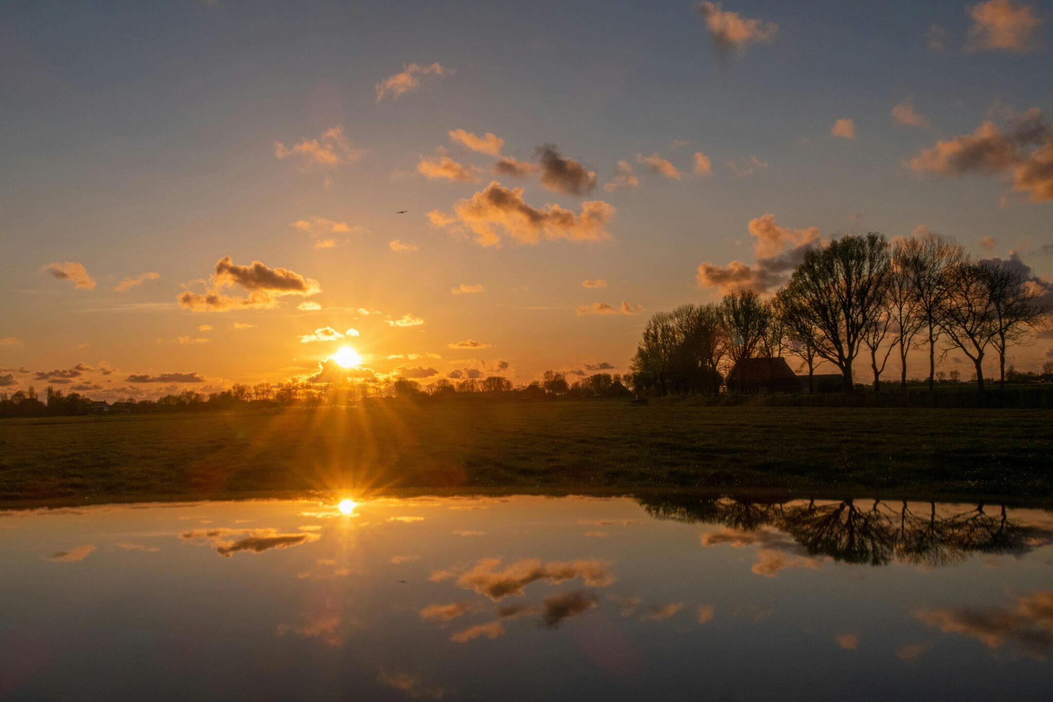 Entdecken Sie das Ferienhaus Friesland: Ihre perfekte Urlaubsdestination